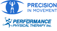 Precision In Movement logo