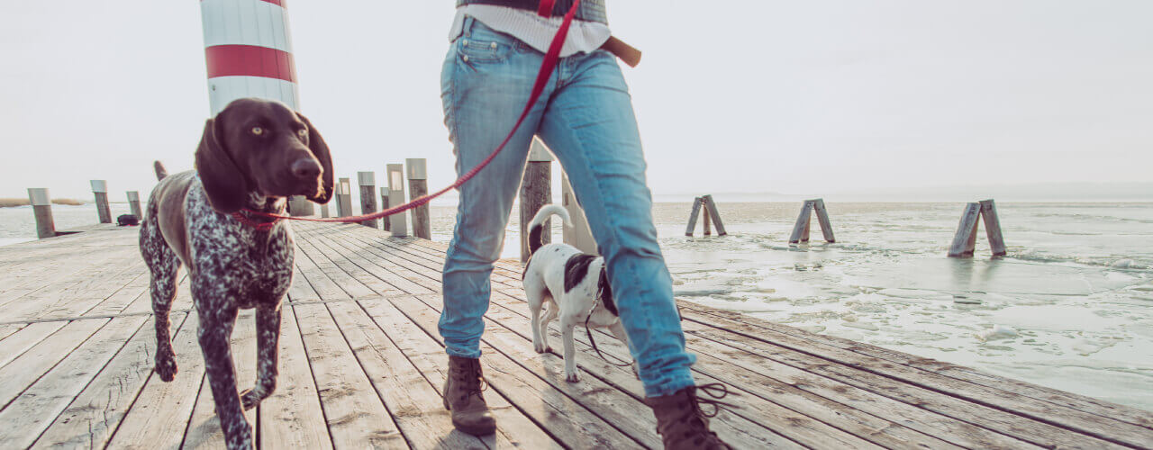 5 Tips To Get More Physical Activity In Your Routine