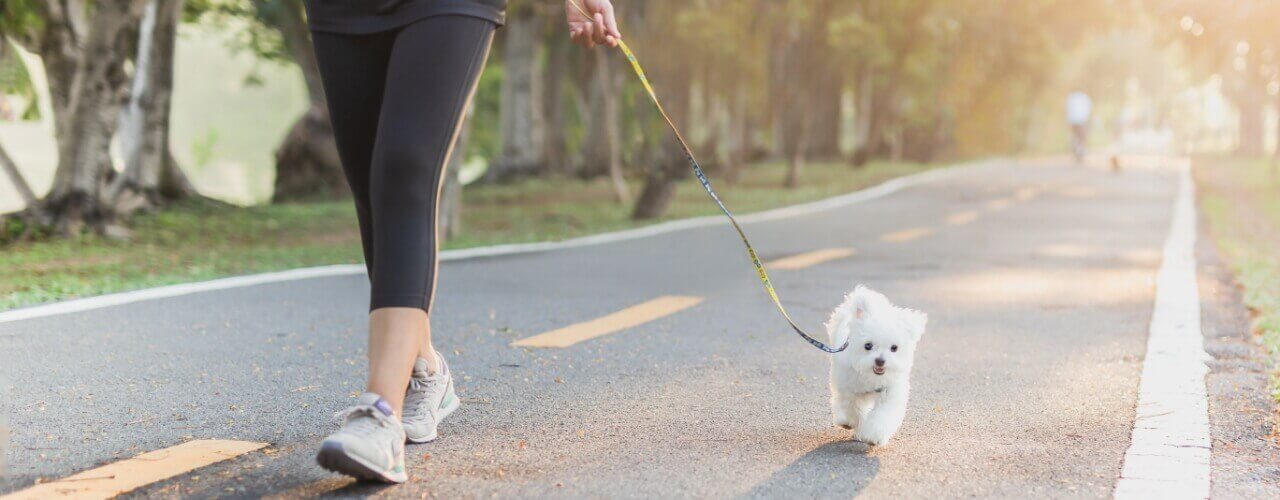 5 Easy Ways To Get Active